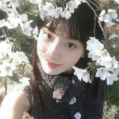 白蛇传情封面